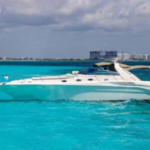 #21 SEA RAY SUN DANCER 45 FT